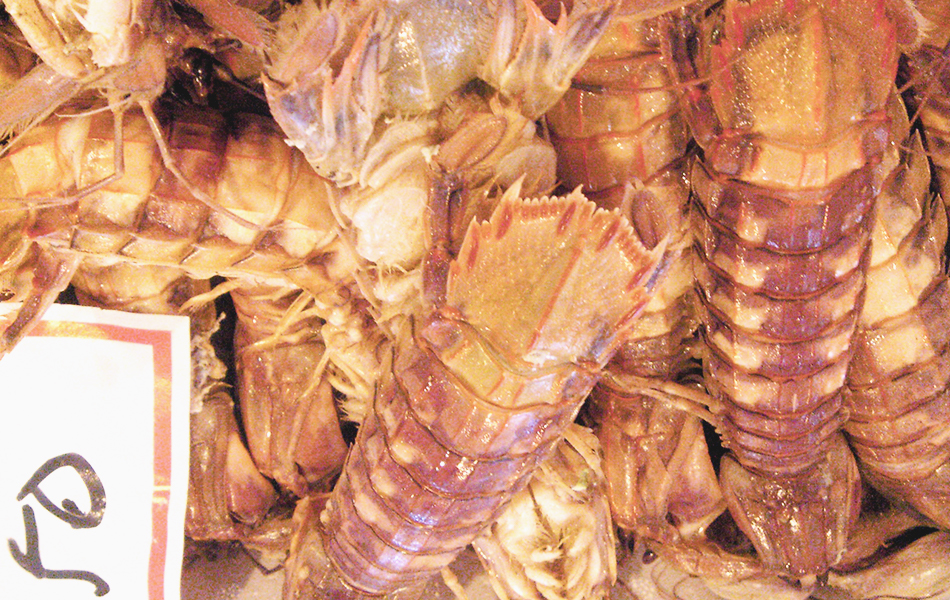 小樽産蝦蛄